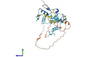AlphaFold protein structure predicition of Human Recombinant ZNF705D Protein, UniprotID P0CH99