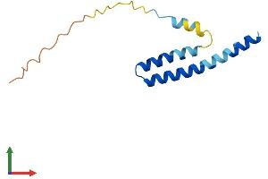 AlphaFold protein structure predicition of Mouse Recombinant Ifitm1 Protein, UniprotID Q9D103