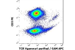 Flow cytometry multicolor surface staining of human lymphocytes stained using anti-human TCR Vgamma4 (4A11. (TCR Vgamma4 anticorps)