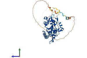 AlphaFold protein structure predicition of Human Recombinant HS3ST3B1 Protein, UniprotID Q9Y662