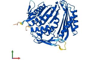 AlphaFold protein structure predicition of Mouse Recombinant Rcl1 Protein, UniprotID Q9JJT0