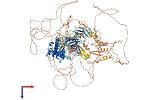 AlphaFold protein structure predicition of Mouse Recombinant Nrk Protein, UniprotID Q9R0G8
