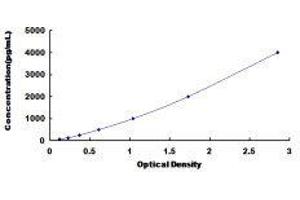 ELISA image for Hemochromatosis Type 2 (Juvenile) (HFE2) ELISA Kit (ABIN432454)