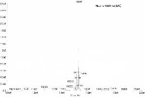 Mass Spectrometry (MS) image for Histone H3 (H3) (H3K4me3) protein (ABIN2669566)