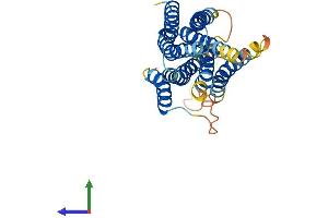 AlphaFold protein structure predicition of Mouse Recombinant Slc39a9 Protein, UniprotID Q8BFU1