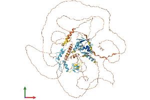 AlphaFold protein structure predicition of Human Recombinant ZBTB10 Protein, UniprotID Q96DT7