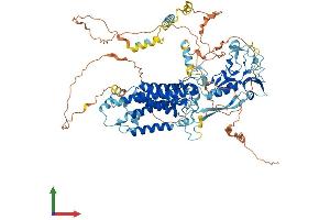 AlphaFold protein structure predicition of Human Recombinant RHBDF2 Protein, UniprotID Q6PJF5