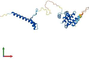 AlphaFold protein structure predicition of Mouse Recombinant Ccdc103 Protein, UniprotID Q9D9P2