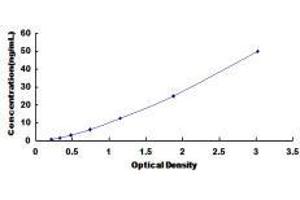 ELISA image for Complement Factor D (CFD) ELISA Kit (ABIN432371)