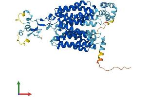 AlphaFold protein structure predicition of Mouse Recombinant Slc22a12 Protein, UniprotID Q8CFZ5