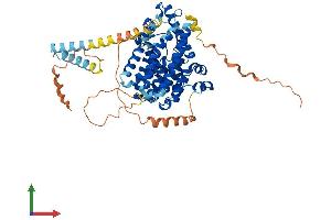 AlphaFold protein structure predicition of Human Recombinant PDE1B Protein, UniprotID Q01064