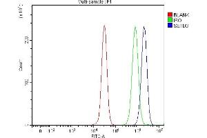 Flow Cytometry analysis of 293T cells using anti-SETD3 antibody (ABIN7600293). (SETD3 anticorps  (AA 173-468))