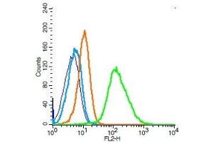 Human Raji cells probed with IL-6R beta Polyclonal Antibody, Unconjugated  (green) at 1:100 for 30 minutes followed by a PE conjugated secondary antibody compared to unstained cells (blue), secondary only (light blue), and isotype control (orange).
