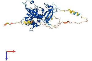 AlphaFold protein structure predicition of Mouse Recombinant Hmces Protein, UniprotID Q8R1M0