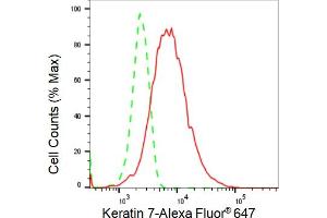Flow cytometric analysis of Keratin 7 expression in HepG2 cells using Keratin 7 antibody (ABIN7799186), 1:2,000). (Recombinant Cytokeratin 7 anticorps)