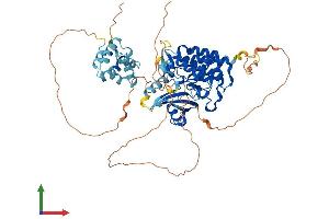 AlphaFold protein structure predicition of Mouse Recombinant Irak3 Protein, UniprotID Q8K4B2
