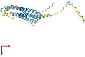 AlphaFold protein structure predicition of Mouse Recombinant Laptm4a Protein, UniprotID Q60961