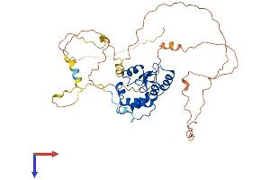 AlphaFold protein structure predicition of Human Recombinant ARFGAP1 Protein, UniprotID Q8N6T3