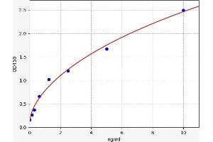 Laminin (LN) ELISA Kit