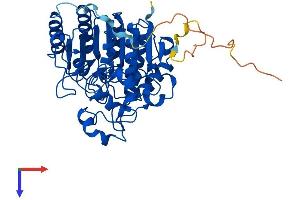 AlphaFold protein structure predicition of Human Recombinant HDAC3 Protein, UniprotID O15379