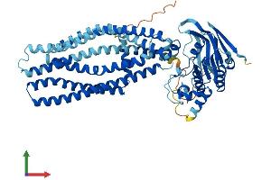 AlphaFold protein structure predicition of Mouse Recombinant Abcd4 Protein, UniprotID O89016