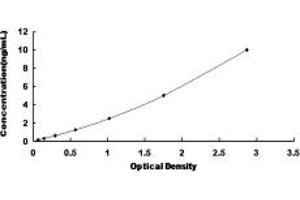 Typical standard curve (Neurogenin 3 Kit ELISA)