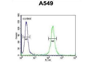 anti-Transmembrane Protein 168 (TMEM168) (AA 558-587), (C-Term) antibody