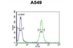 TM168 Antibody (C-term) flow cytometric analysis of A549 cells (right histogram) compared to a negative control cell (left histogram). (TMEM168 anticorps  (C-Term))