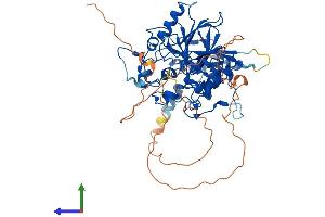 AlphaFold protein structure predicition of Human Recombinant DBR1 Protein, UniprotID Q9UK59
