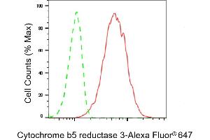 Flow cytometric analysis of Cytochrome b5 reductase 3 expression in H9c2 cells using Cytochrome b5 reductase 3 antibody (ABIN7798244), 1:2,000).