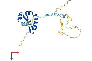 AlphaFold protein structure predicition of Mouse Recombinant Gtsf1 Protein, UniprotID Q9DAN6