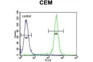 CCDC122 Antibody (C-term) flow cytometric analysis of CEM cells (right histogram) compared to a negative control cell (left histogram). (CCDC122 anticorps  (C-Term))