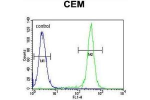CCDC122 Antibody (C-term) flow cytometric analysis of CEM cells (right histogram) compared to a negative control cell (left histogram).