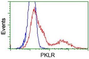 Flow Cytometry (FACS) image for anti-Pyruvate Kinase, Liver and RBC (PKLR) antibody (ABIN1500249) (PKLR anticorps)