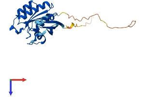 AlphaFold protein structure predicition of Human Recombinant RAB5C Protein, UniprotID P51148