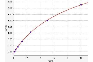 Typical standard curve (SERPINA3N Kit ELISA)