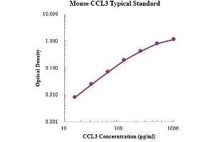 ELISA image for Chemokine (C-C Motif) Ligand 3 (CCL3) ELISA Kit (ABIN3198410) (CCL3 Kit ELISA)