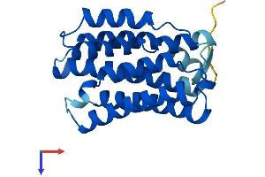 AlphaFold protein structure predicition of Mouse Recombinant Kdelr3 Protein, UniprotID Q8R1L4