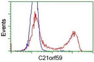 HEK293T cells transfected with either RC200169 overexpress plasmid (Red) or empty vector control plasmid (Blue) were immunostained by anti-C21orf59 antibody (ABIN2452868), and then analyzed by flow cytometry. (C21orf59 anticorps)