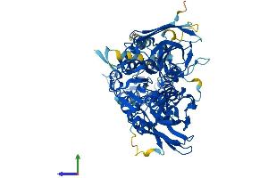 AlphaFold protein structure predicition of Mouse Recombinant Prmt7 Protein, UniprotID Q922X9
