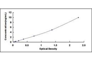 Typical standard curve (TOLLIP Kit ELISA)