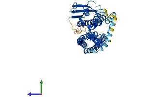 AlphaFold protein structure predicition of Human Recombinant SNX6 Protein, UniprotID Q9UNH7