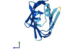 AlphaFold protein structure predicition of Mouse Recombinant Fabp9 Protein, UniprotID O08716