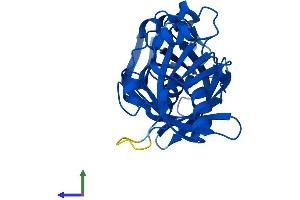 AlphaFold protein structure predicition of Mouse Recombinant Pbld1 Protein, UniprotID Q9DCG6