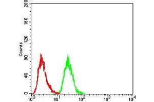 Flow cytometric analysis of Hela cells using phospho-NLRC4(Ser-533) rat mAb (green) and negative control (red).