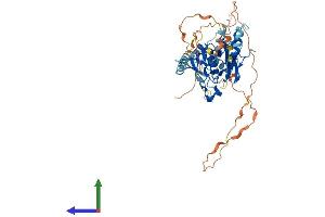 AlphaFold protein structure predicition of Human Recombinant IRF5 Protein, UniprotID Q13568
