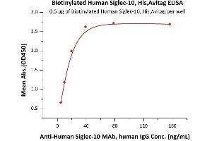 Immobilized Biotinylated Human Siglec-10, His,Avitag (ABIN6938925,ABIN6950971) at 5 μg/mL (100 μL/well) on Streptavidin  precoated (0.