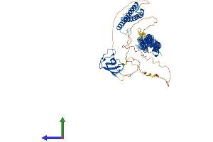 AlphaFold protein structure predicition of Human Recombinant FNBP1 Protein, UniprotID Q96RU3