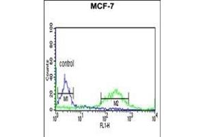 anti-V-Ets Erythroblastosis Virus E26 Oncogene Homolog 2 (ETS2) (AA 146-173) antibody