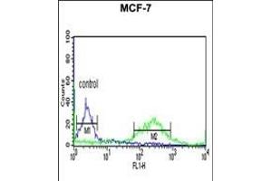 ETS2 Antibody (Center) (ABIN653803 and ABIN2843080) flow cytometric analysis of MCF-7 cells (right histogram) compared to a negative control cell (left histogram).
